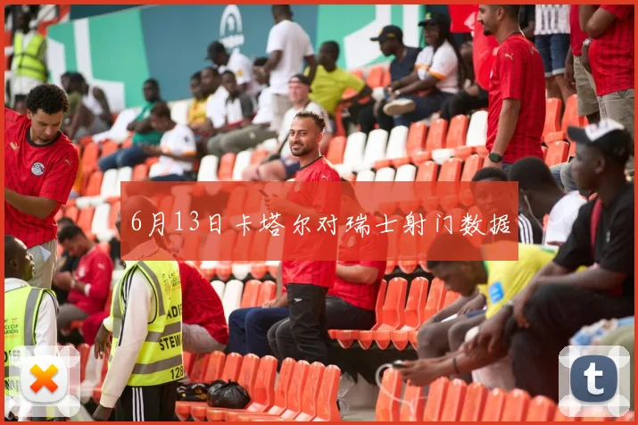 6月13日卡塔尔对瑞士射门数据