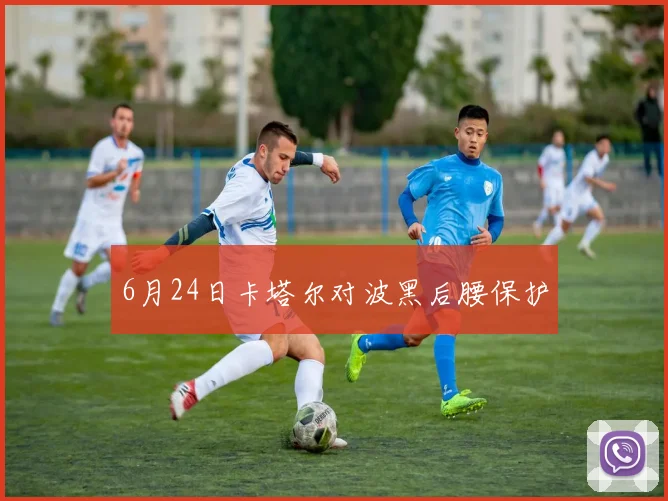 6月24日卡塔尔对波黑后腰保护