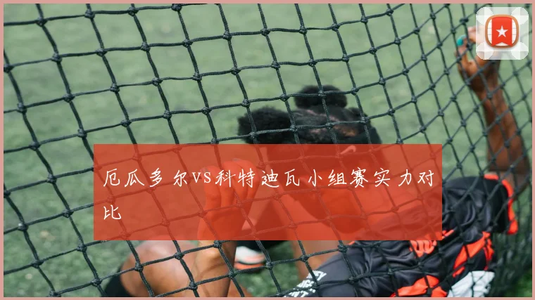 厄瓜多尔vs科特迪瓦小组赛实力对比